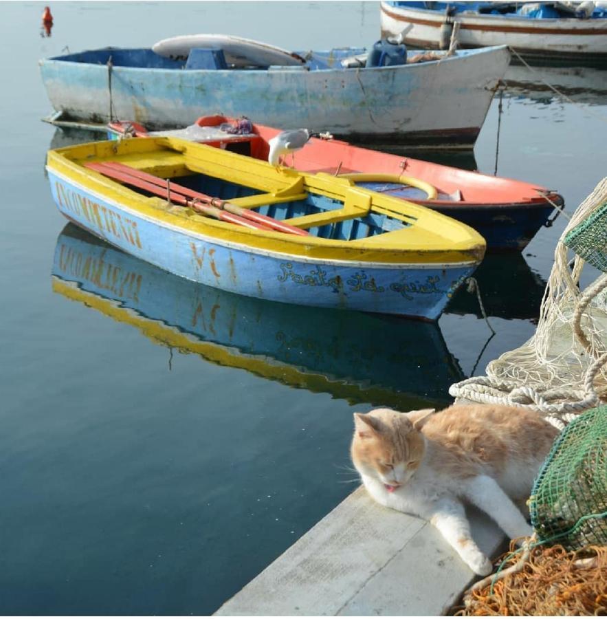 Maridea Apartman Procida Kültér fotó
